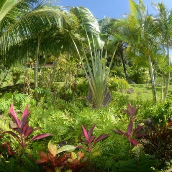 CAROUSEL-ROOMS-WITH-SHARED-BATHROOM06