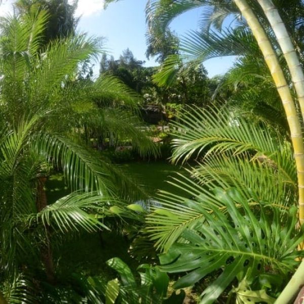 CAROUSEL-ROOMS-WITH-SHARED-BATHROOM12