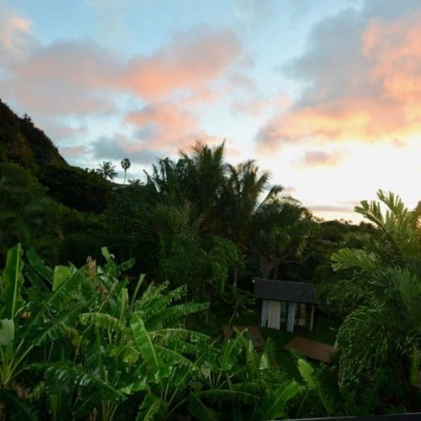 CAROUSEL-ROOMS-WITH-SHARED-BATHROOM15