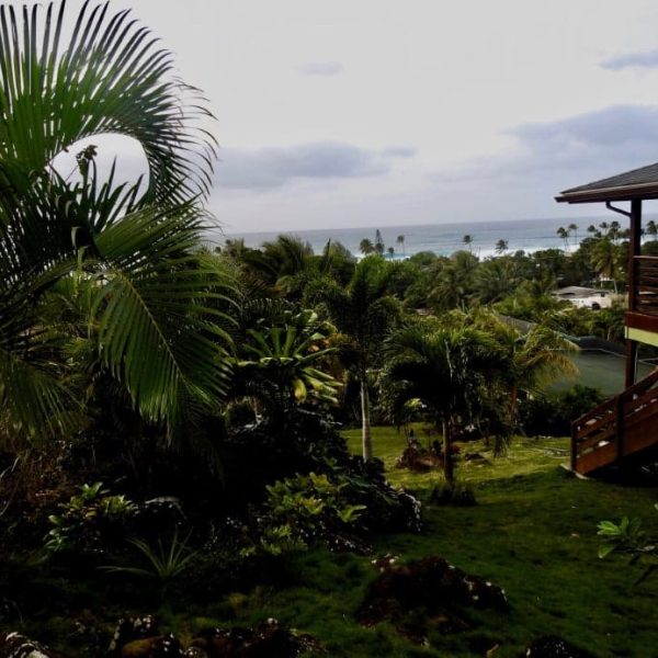 CAROUSEL-ROOMS-WITH-SHARED-BATHROOM23