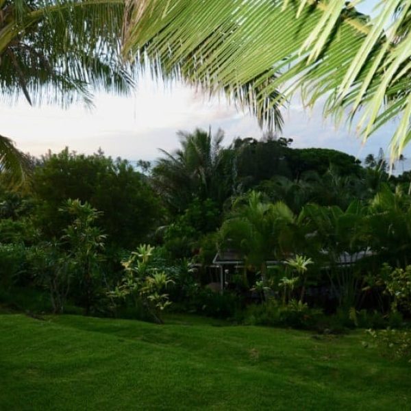 CAROUSEL-ROOMS-WITH-SHARED-BATHROOM36