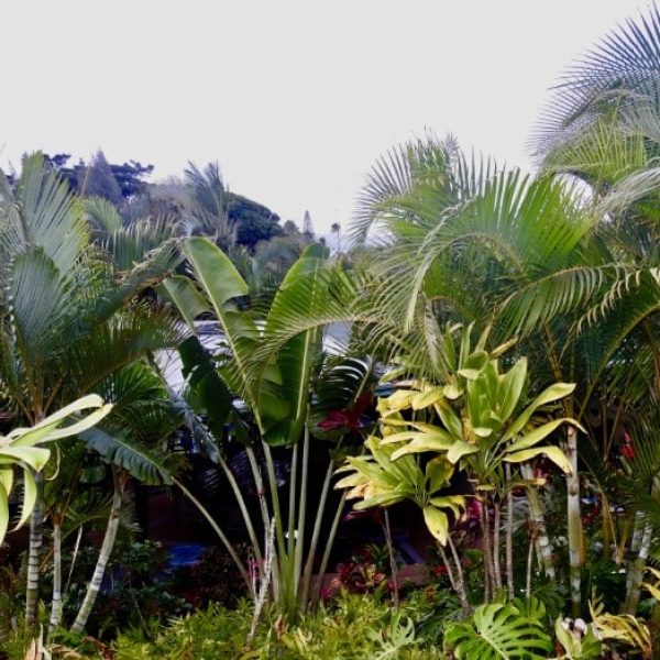 CAROUSEL-ROOMS-WITH-SHARED-BATHROOM46