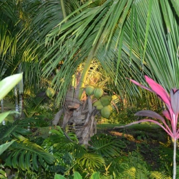 CAROUSEL-ROOMS-WITH-SHARED-BATHROOM49