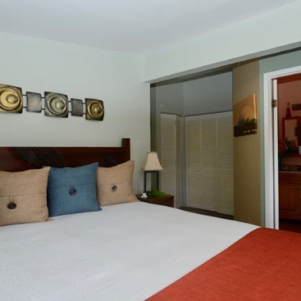 ORQUID-FAMILY-OASIS-SUITE-01